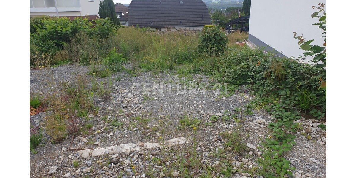 Sicht von hinten nach vorn